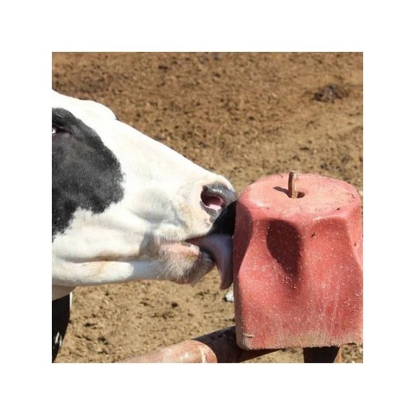 Sare pentru animale de ferma, Mineral Block, 5 kg
