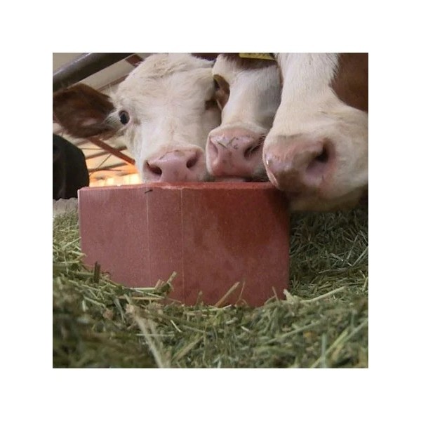 Sare pentru animale de ferma, Mineral Block, 5 kg