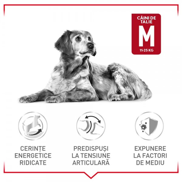 Hrana uscata pentru caini Royal Canin Medium Adult, 12kg