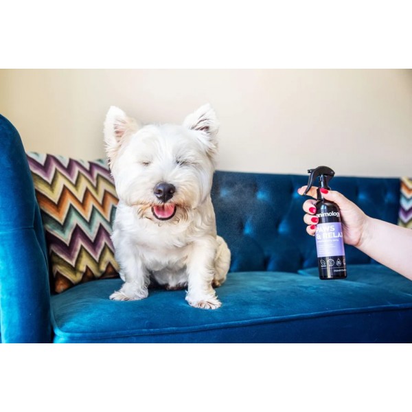 Spray Aromaterapic pentru Caini, Animology Paws & Relax, 250ml