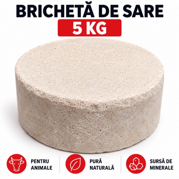 Bricheta de Sare 5 kg