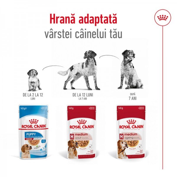 Royal Canin Medium Adult în sos, pentru caini - 10 x 140 g