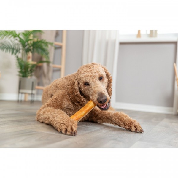 Recompensa pentru caini, Rulou din carne de pui cu colagen, 165g Recompensa pentru caini, Rulou din carne de pui cu colagen, 165g